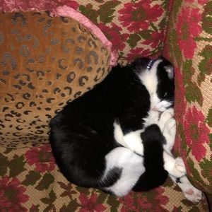 Meet your Posher, Haley